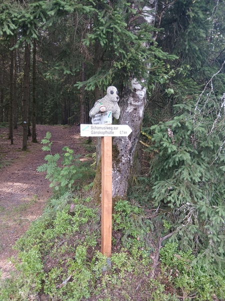 V312-S106.jpg
