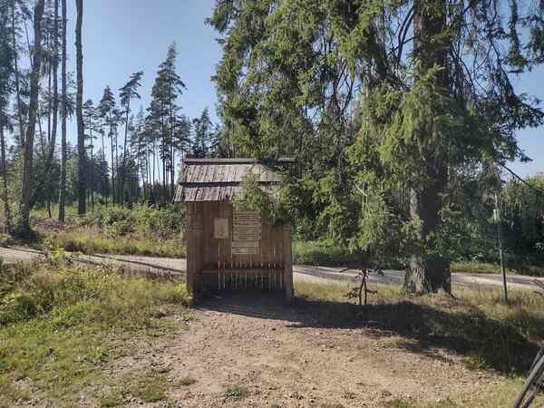 V513_S004%20Bild1.jpg