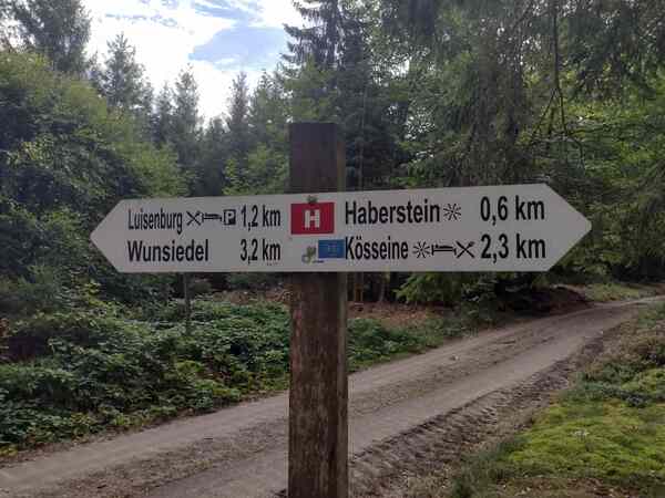 V513_S007_W001%20Bild2.jpg