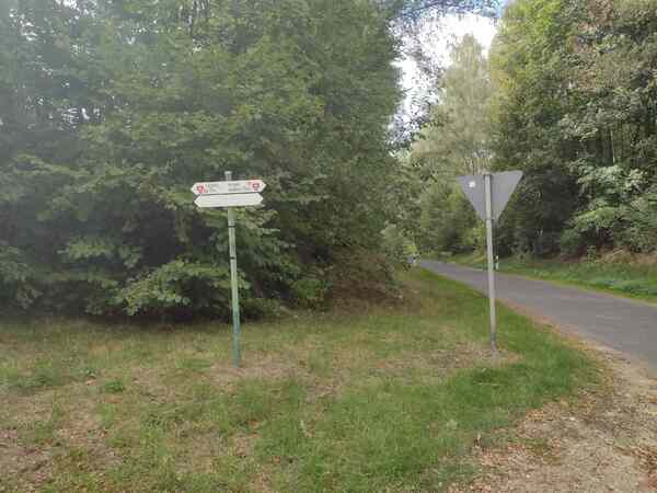 V513_S008%20Bild1.jpg