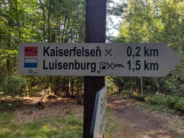 V513_S050%20Bild3.jpg