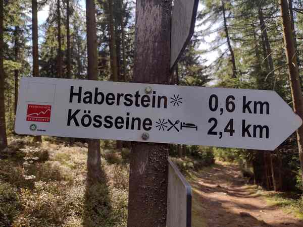 V513_S055%20Bild3.jpg
