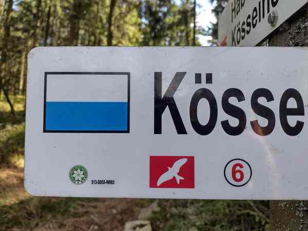 V513_S055_W003%20Bild6.jpg