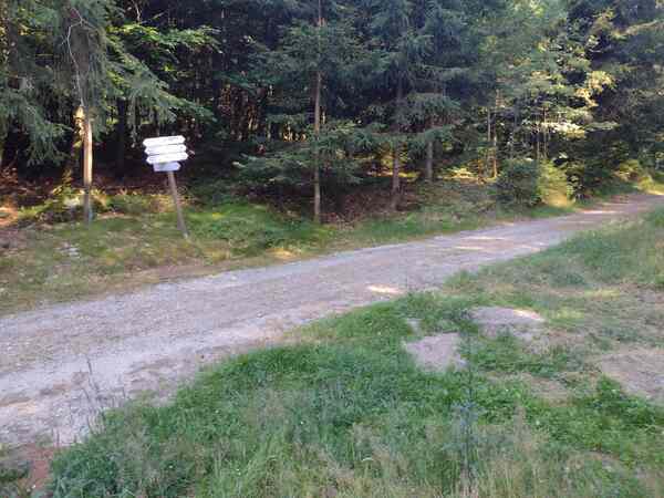 V513_S100%20Bild1.jpg
