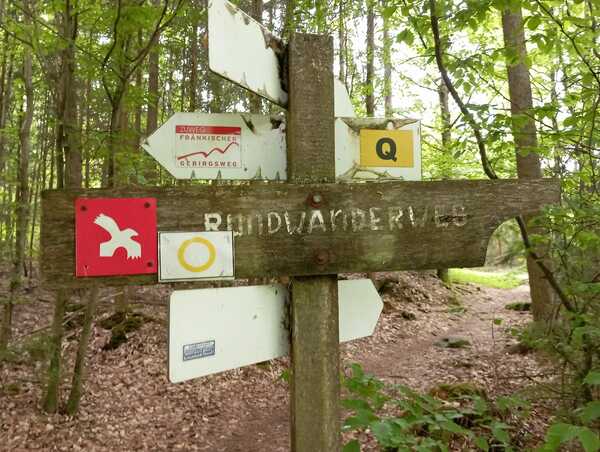 V513_S112%20Bild1.jpg
