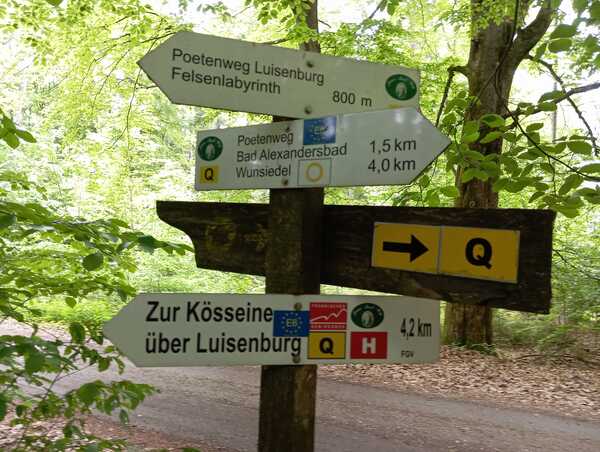 V513_S112%20Bild2.jpg