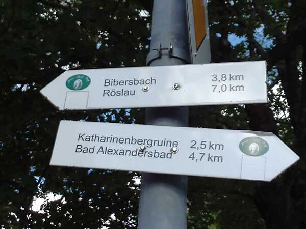 V513_S358_W001_W002%20Bild2.jpg