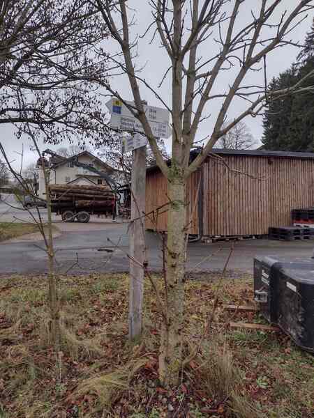 V513_S375%20Bild2.jpg