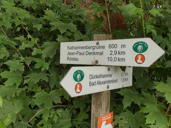 V513_S501%20Bild2.jpg