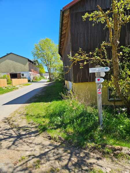 V513_S603%20Bild3.jpg